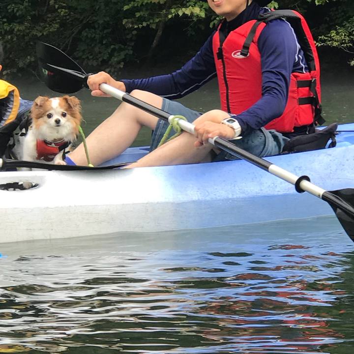 8379634c bd4b 4fdb bdb6 e5e61126e9c4 1565512544848