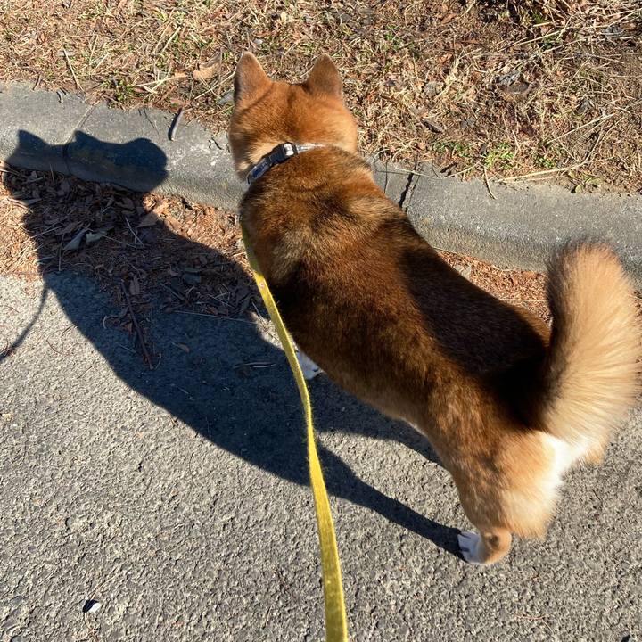 83796e1a b8c2 42fb b690 f5622bdadec8 1642496712497