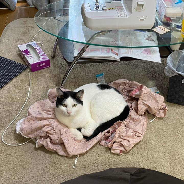 8379724e 7bac 4ca7 b5b1 ed9b75207a38 1691826415335