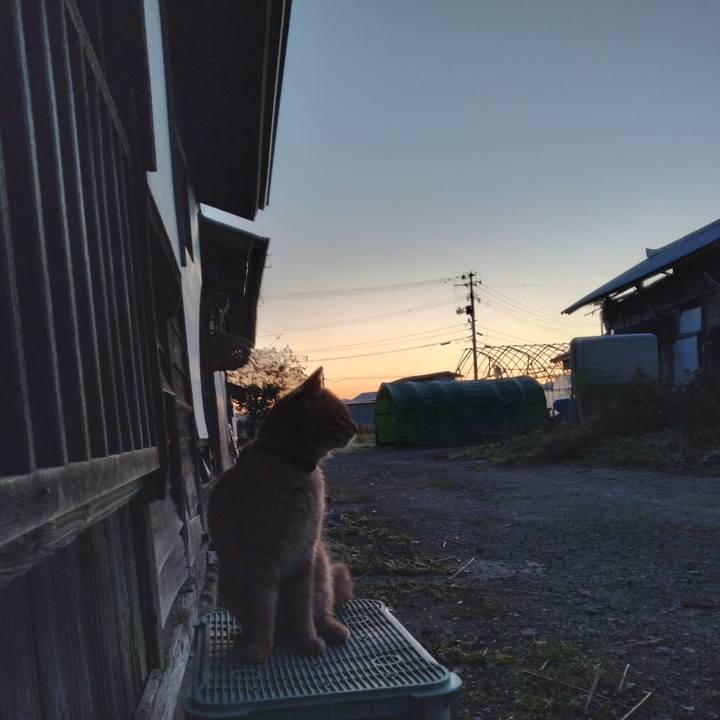 837973d7 1481 4518 a626 e62f13b4a4f7 1666300855703