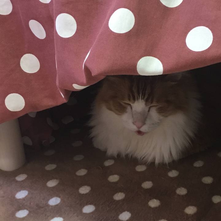 83797880 d604 4355 9d7f 02c337f7b324 1556876369549