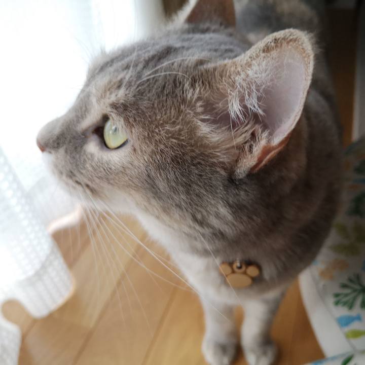 8379919b f312 47f3 af8e 8a731cbc0db5 1565854355522