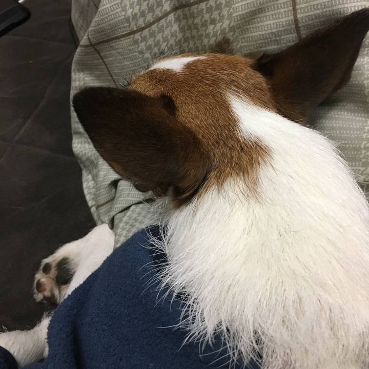 8379934b 357e 4bd1 b355 876350e3b119 1552452062239