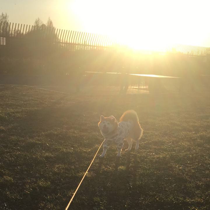 8379adc6 d399 4f8e a818 20a774bcd987 1547027716383