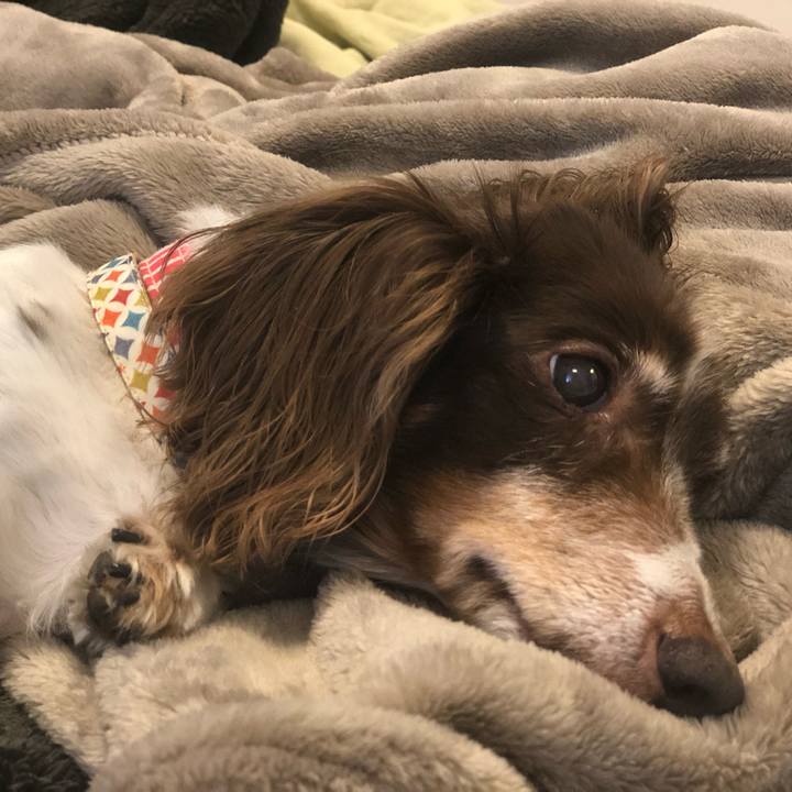 8379bf28 317d 48fa bee3 0079541059fd 1567376706266