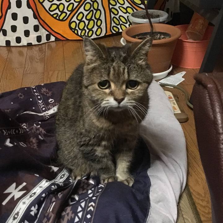 8379e03e 777d 4d52 9fd7 3963c59d6ebe 1524667860906