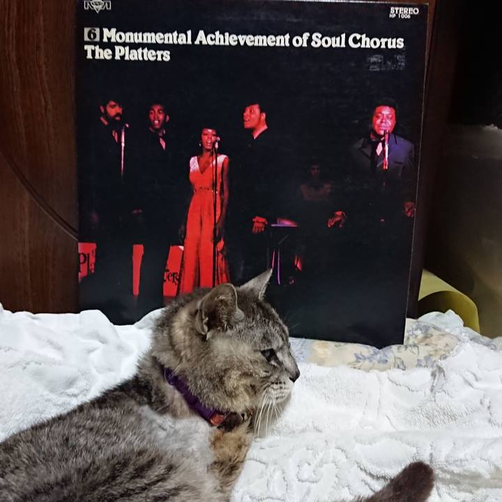 8379e70f 0467 42fb 9386 accc0a608588 1592480449346