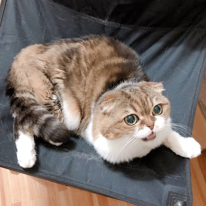 8379e911 54ca 437a a1ef 5317bed5bf3b 1565191783685