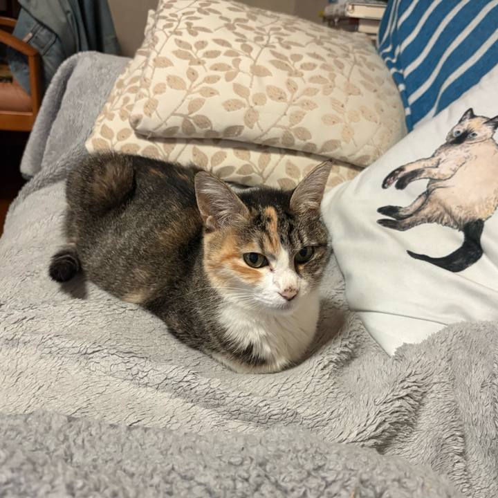 8379fe35 5e99 4a85 b39f 802622b78a52 1761124503028