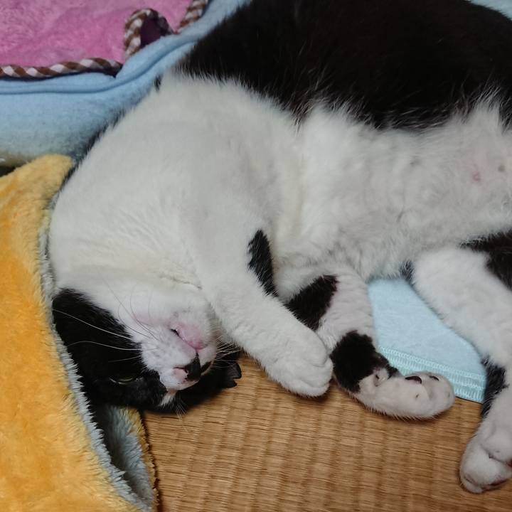 837a027c d178 4b29 ae7e 9545bd0099ce 1539215216034