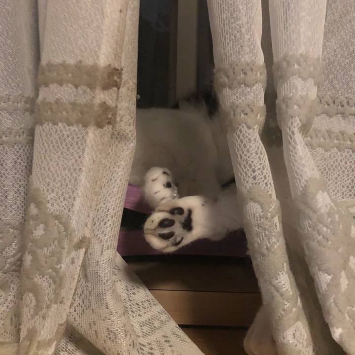 837a2de9 bb80 4b62 9f99 4577c9086e14 1596293247917