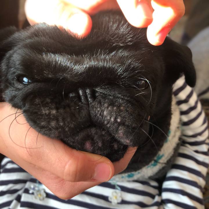 837a2ea2 9b35 43ea a0b8 fd03154c9221 1612823916167