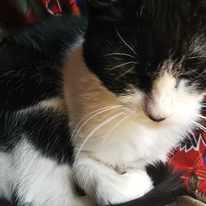 837a4802 af8a 496c 80e9 100262127bae 1616146912286