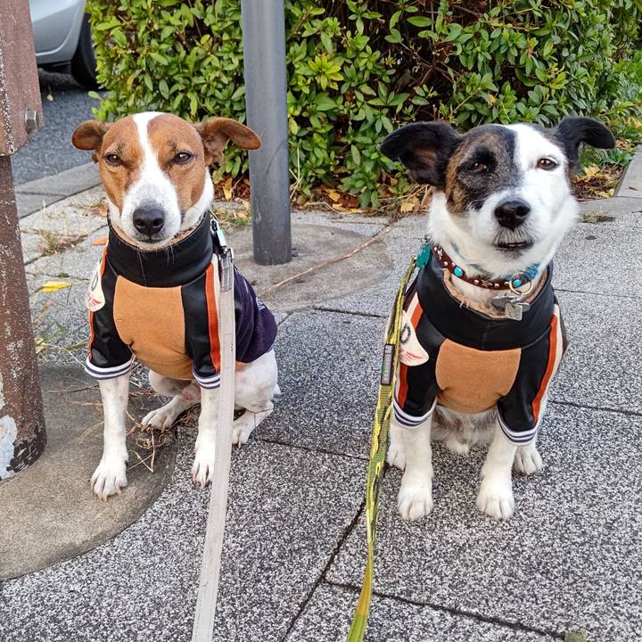 837a56c9 e287 4d2b b813 48165e14ffad 1668379898250