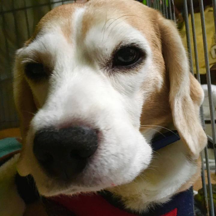 837aa8de 8a78 455e 8bf0 a248f4066d95 1577680955817