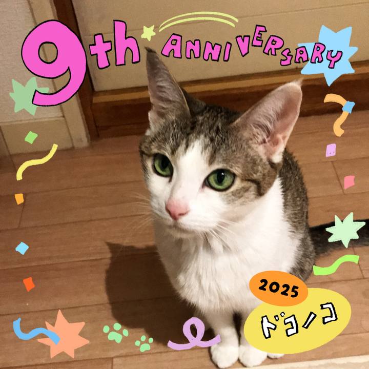 837ab55a ff4f 4233 895a fa7750ef90fc 1749141825854