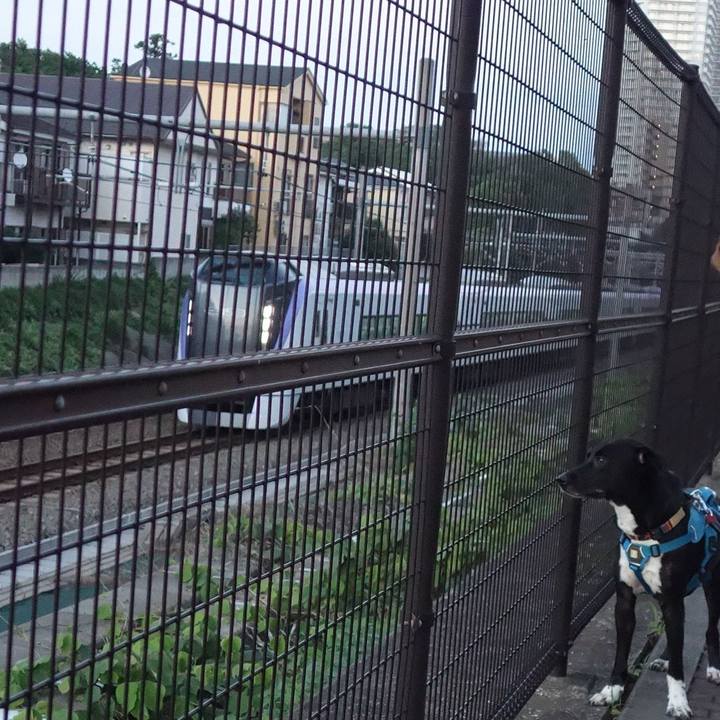 837ab6a0 b788 4aad b40d 6328395ef423 1621766951499