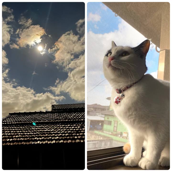 837adb4a 3aa8 4c33 94ed 69ec7152328a 1643974140133