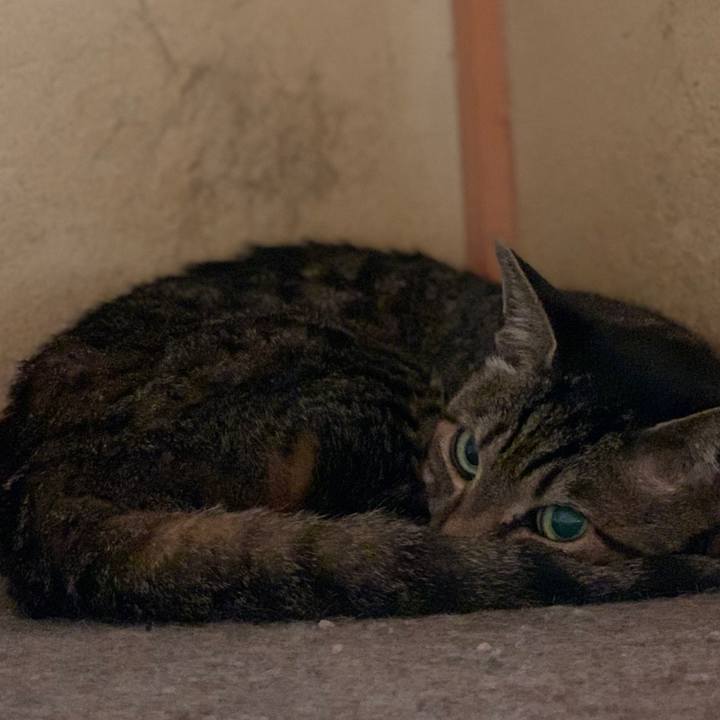 837afd15 8339 4ce3 a4ed 2a170ca8543c 1593048329186