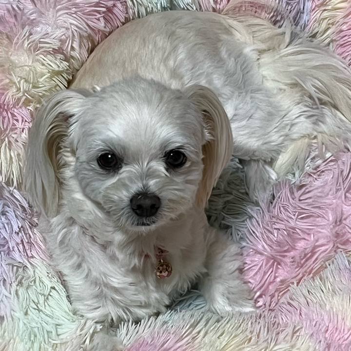 837b01fe e13f 4539 8e78 6d73752bc5ed 1696938324696