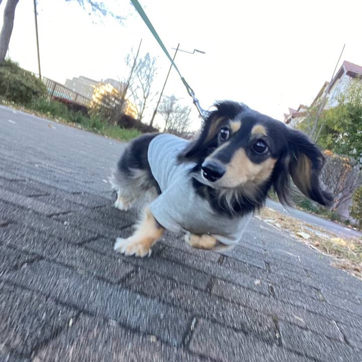 837b5a40 974b 4600 bce3 34db119098de 1764803026445