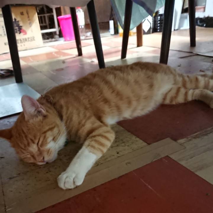 837b7c1e 82da 4a01 a934 f4b72032344a 1566214036801