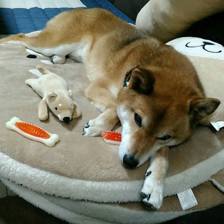 837bd1aa 3c56 4d86 ad6e 5b57f53ca9ff 1559725048547