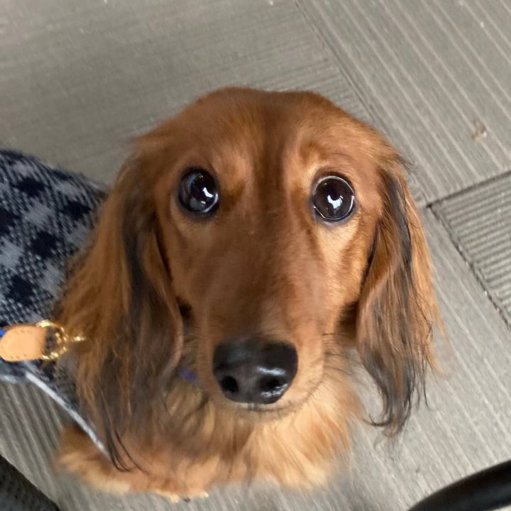 837beca5 9f59 4921 82da 3109545c670b 1766217036999