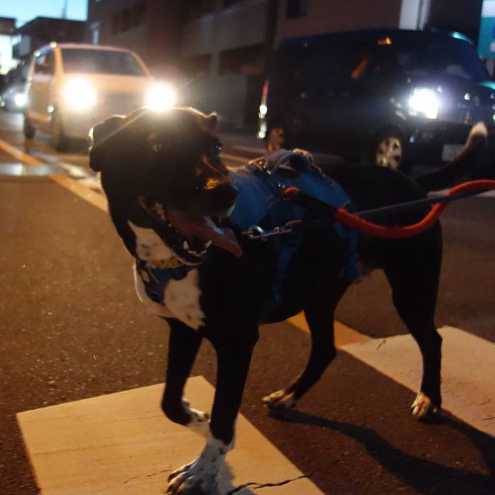 837c0a85 99cd 473e bcbb 3b4927adc926 1629284934114