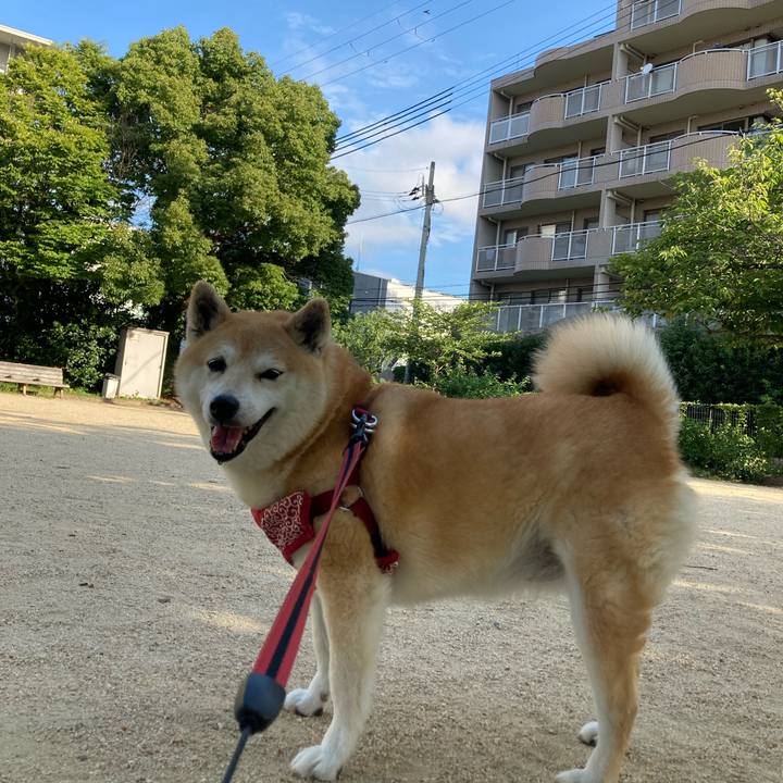 837c13bc 12e0 4228 889d a87dc6e912c8 1626991497130