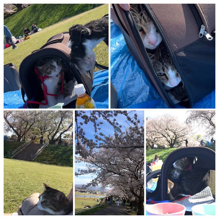 837c17ae e9db 4681 a261 e977fc2d4947 1680429941101