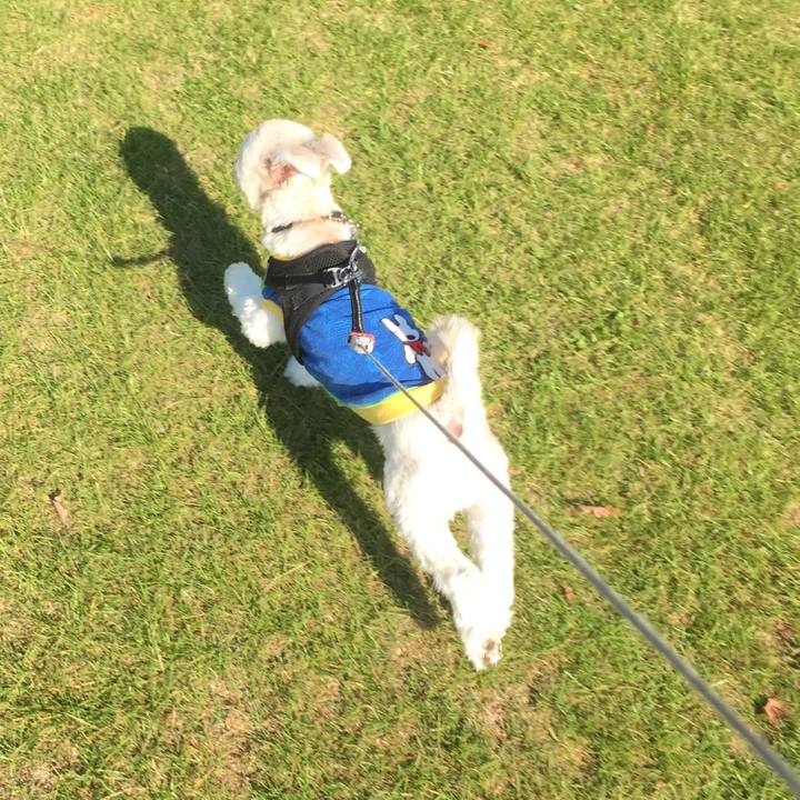 837c5679 504c 4014 97b8 37d48517d5a7 1510917641318