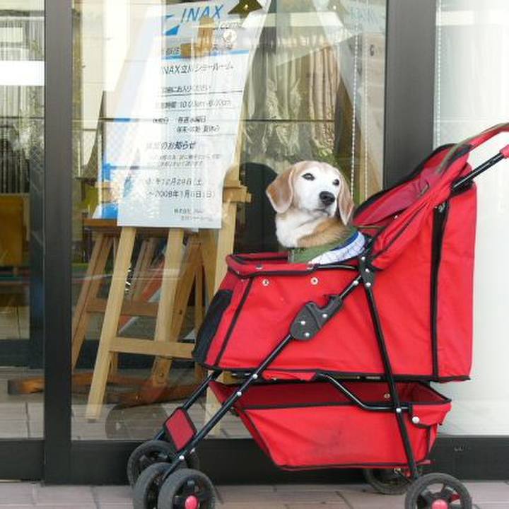 837c734d e54c 4546 865a af9a5a505412 1733528247676