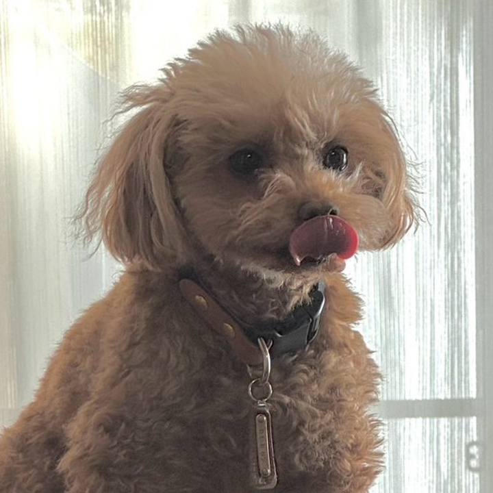 837c77c9 05c6 45a4 93f1 9133a6401829 1768640124839