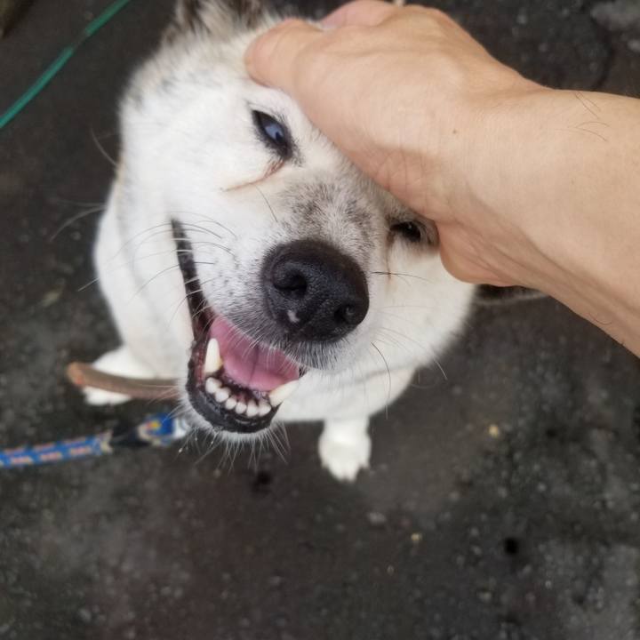 837c7c32 abcd 4182 8e60 a527c687b331 1660437535389