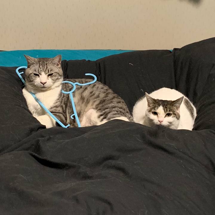 837c9c96 4bea 4942 8461 c8f586928031 1584330135816