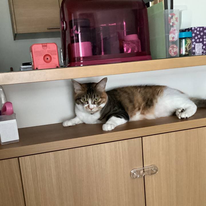 837cc2e9 8a83 456f ae0a 2f36a4f9a671 1687303454112