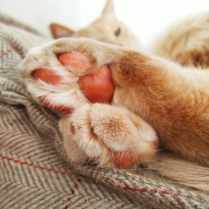 837cc6ec 655c 4132 9b0d f20aca5c4dc6 1612406576226