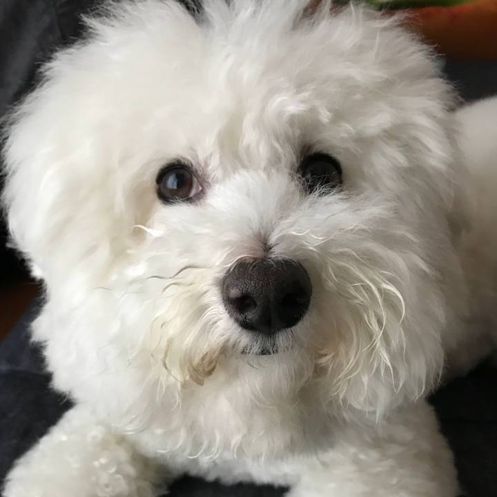 837ce297 510d 4c13 a389 6abf57656a0d 1527719848028