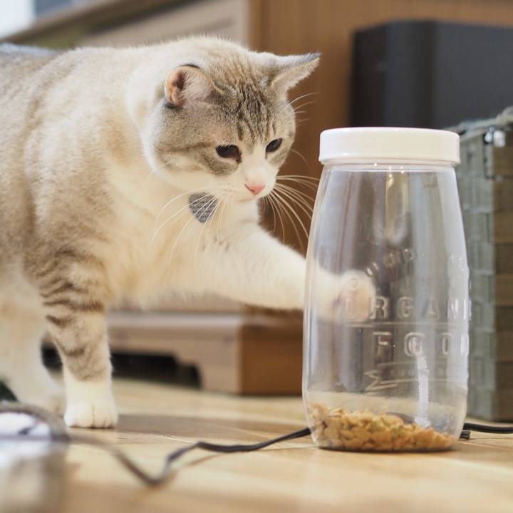 837d145d 0ac0 4507 bba2 4ae552f42808 1611545638406