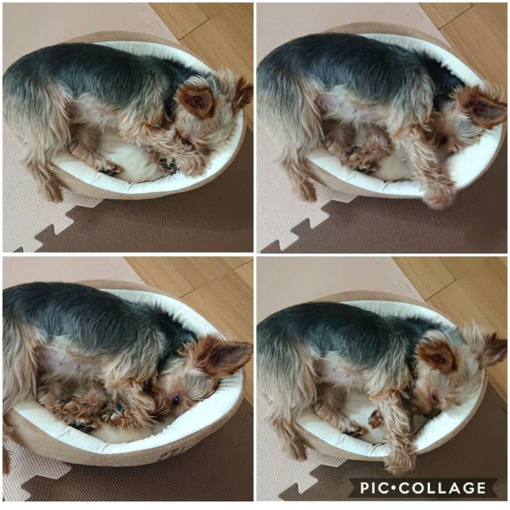 837d1e88 821a 41e9 8696 102413dc01be 1570845612743