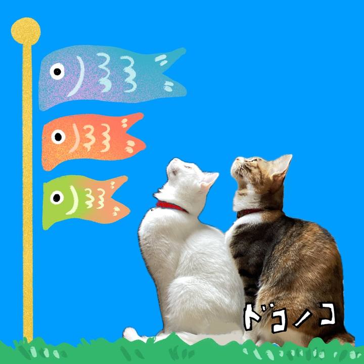 837d3c7b 93dc 42bf abde a7968609829e 1714884541518