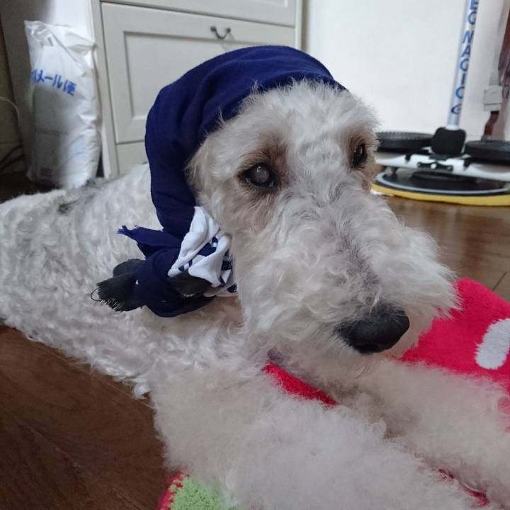 837d73d3 c13a 442c ac89 244e9ae04318 1598878057653