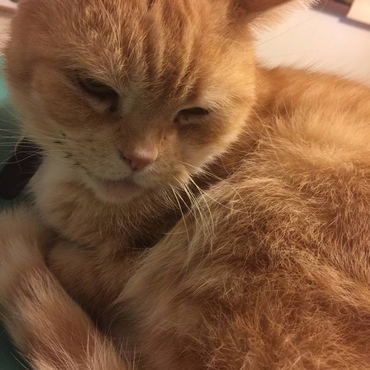 837d7a2e 1708 43e3 9d10 1ca262d22ebc 1547633525874