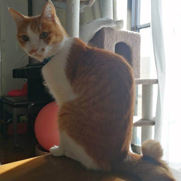 837dafa2 b592 49bb ab95 938a8528b313 1612058115173