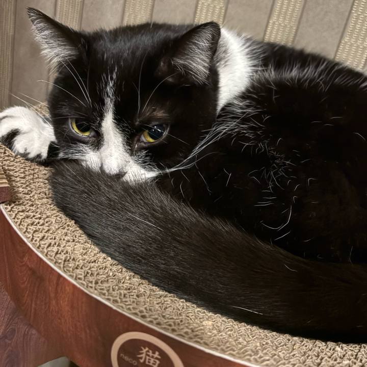 837db5fe c139 4ab0 9b24 38fe0b9dc2f7 1772544249369