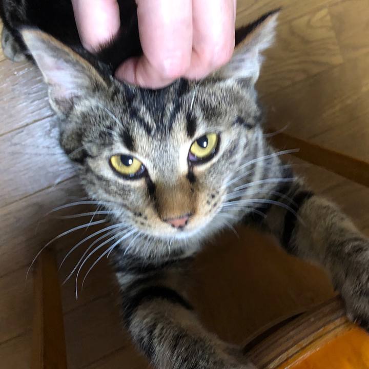 837dc42d 92ad 452b ba3a 6c6a3c6e08f0 1736418190129