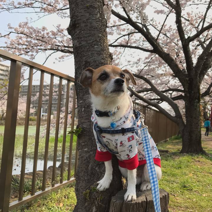 837df262 a833 4c79 be9d 9f913da1bc6d 1554631596162