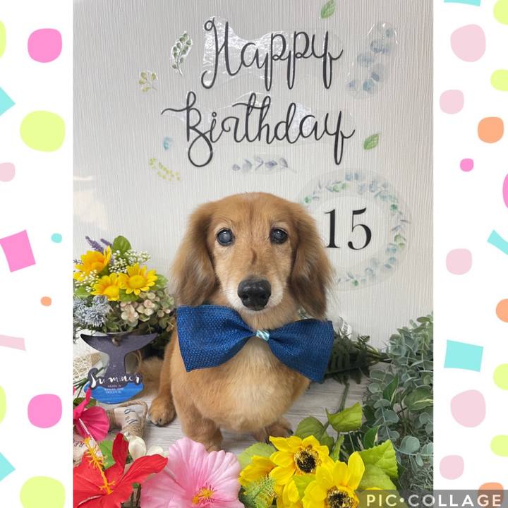 837e4a50 4012 4540 97bd 6bb536bfb70a 1660046086630