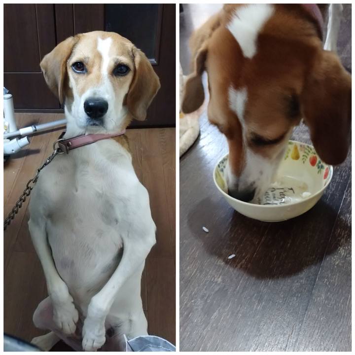 837e6a1d 112a 4c13 ab00 2120606f41d3 1601189526499